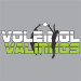 Voleibol Valinhos (BRE)