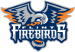 Flint Firebirds