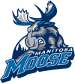 Moose du Manitoba
