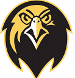 Pfeiffer Falcons