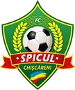 FC Spicul Chiscareni
