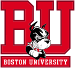 Boston Terriers