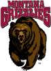 Montana Grizzlies