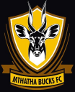 Mthatha Bucks FC