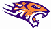 Edward Waters Tigers