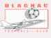 Blagnac FC