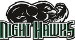 Thomas Night Hawks