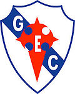 Gal&iacute;cia Esporte Clube