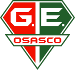 Gr&ecirc;mio Osasco