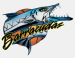 Brunei Barracudas
