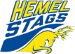 Hemel Stags