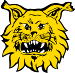 Tampereen Ilves
