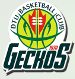 DTU Basketball