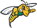 Black Hills State Yellow Jackets