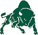 Bethany Bison