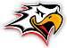 Sport Vaasa
