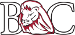 Bryan Lions