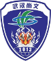 Wuhan Three Towns FC