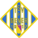 TSV Geyer