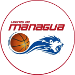 Leones de Managua