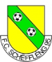 FC Schifflange 95