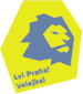 VK Lvi Prague B