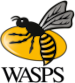 Wasps Ladies