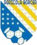 Agricola Borcea