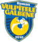 ACS Vulpitele Galbene Roman