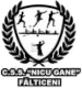 CSS Nicu Gane Falticeni