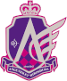 Angeviolet Hiroshima