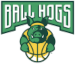 Ball Hogs 3x3