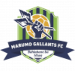 Marumo Gallants FC (AFS)