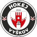 Hockey sur glace - Hokej Vyskov