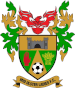 Football - Mid Ulster Ladies FC