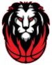 Leones de Santo Domingo